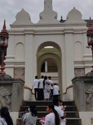 Picture6
