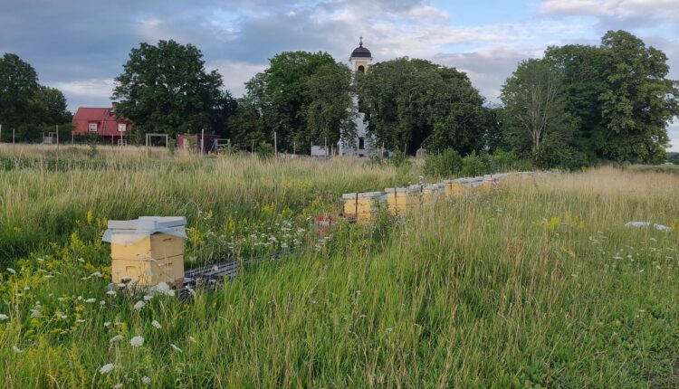 363416026_2347123852161561_6222947646825070168_n