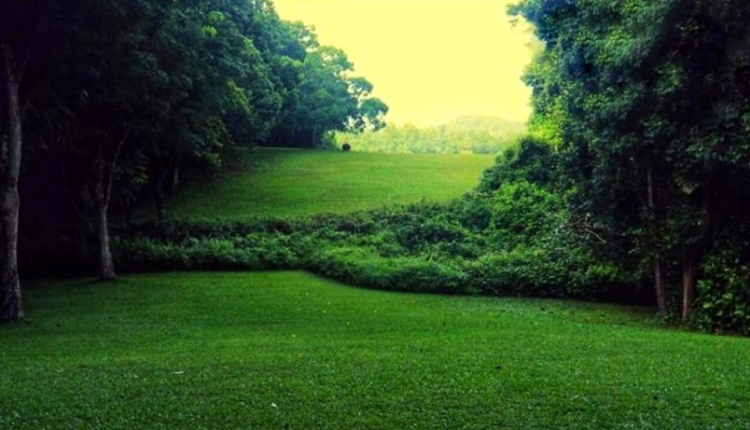 New Picture (42)