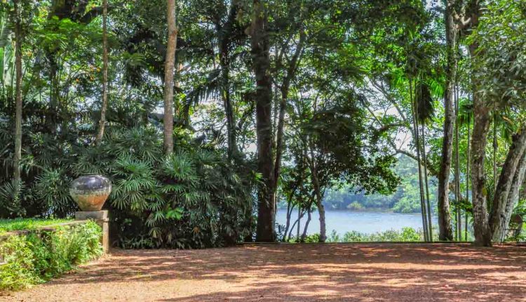 Red-Terrace-and-view-to-Lake-Dedduwa-0330