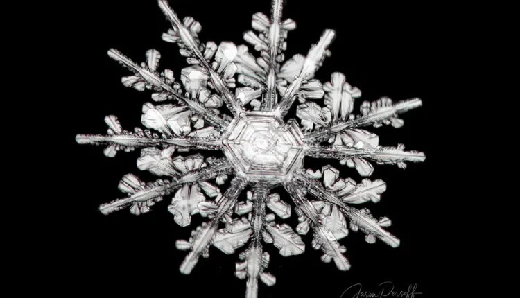 snowflake_stormdoc_2_12side_16x9jpg